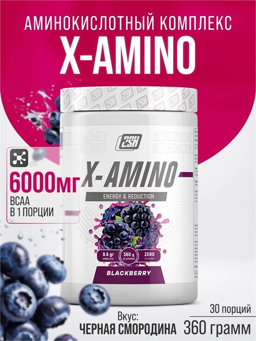 2SN X-Amino 360г - ежевика 13826