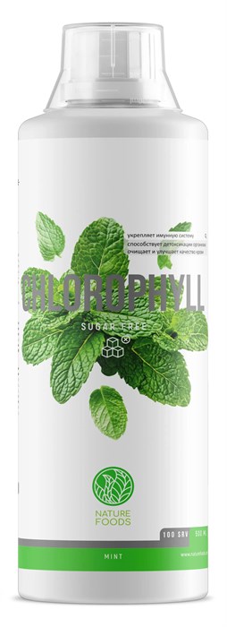 Nature Foods Liquid Chlorophyll 500мл - мята X629845927
