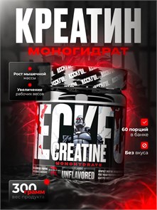 Reckful ® Creatine monohydrate 300 г 13139