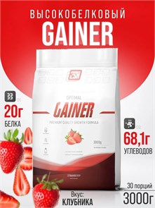 2SN Gainer 3000g (Клубника) 00-00203631