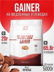 2SN Gainer 5000g (Печенье) БП-00204967