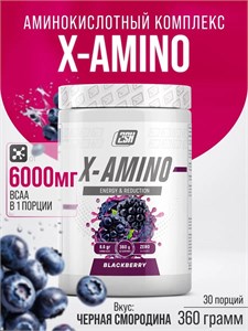 2SN X-Amino 360 гр - ежевика Годно до 23.06.2026 8436046977962