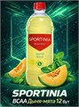 Sportinia Напиток BCAA 6000 500мл - дыня-мята 09509