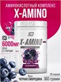 2SN X-Amino 360 гр - ежевика 13826