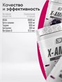 2SN X-Amino 360 гр - ежевика 13826