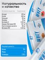 2SN Whey Protein 36 г - клубника 14857