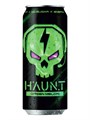 Fitness Food Factory HAUNT 450 мл Зеленая дыня 26790