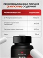 Red Star Labs ALFA (premium testobooster) 90 капс 11817