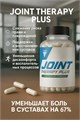 TREC NUTRITION Joint Therapy Plus 120 капс 20908