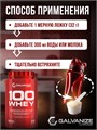 GALVANIZE C100 Whey 900 г - клубника 25670
