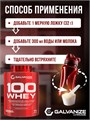 Galvanize C100 Whey 2280г - шоколад 16998