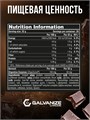 GALVANIZE Max Whey 900 г - шоколад 03614