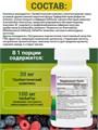 Nature's Plus Animal Parade Acidophi Kidz Chewable, Berry Flavor 90 40483