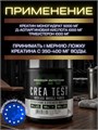 PREMIUM NUTRITION - CREA TEST 255 g Orange-Mango 8436046977533