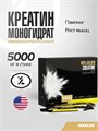 Maxler 100% Golden Micronized Creatine 5g sticks (display box) X4358231