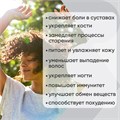 SPORTS RESEARCH Multi Collagen 90 капс 40903