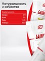 2SN Gainer 3000g (Печенье) 00-00203638