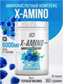 2SN X-Amino 360g (Blackberry) 00-00003444