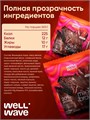 WELL WAVE Десерт Magic Brownie fusion 60г (Сочный финик) X868049084