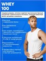 Trec Nutrition Whey 100 30*30 г - шоколад-кокос 12457