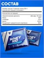 Trec Nutrition Whey 100 30*30 г - шоколад-кокос 12457