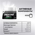 Trec Nutrition Creatine 100% 300 г 19200