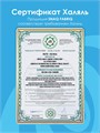SNAQ FABRIQ Печенье глазированное Шоколадное с фундуком, 35 г e6326267-aa86-11f0-0a80-194400118999
