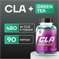 Trec Nutrition CLA + Green Tea 90 капс 04035