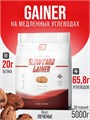 2SN Gainer 5000g (Печенье) БП-00204967