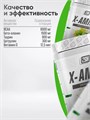 2SN X-Amino 360g (Green apple) 00-00003446