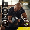 Maxler 100% Golden Micronized Creatine 150г X710190748