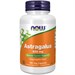 NOW Astragalus 500 мг 100 вег. капс. 8436046978961