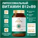 Liposomal Vitamins Liposomal B12-B9 60 капс. 8436046978360